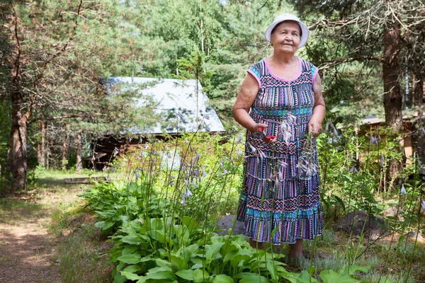 그녀의 농장에서 일하고 미소짓는 정원사그녀의 가지치기와 초상화 — 스톡 사진
