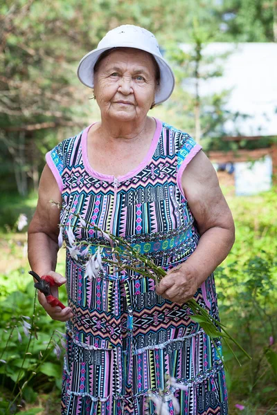 Femme Jardinière Coupant Ses Fleurs Dans Jardin Vieille Dame Travaille — Photo