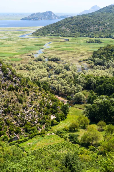 スカダル湖のリエカ クノジェヴィツァ川河口 丘や山の周りの湿地 空中展望 モンテネグロ ヨーロッパ — ストック写真