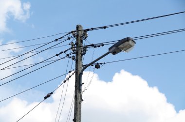 Siyah-beyaz keçi portre mavi gökyüzü karşı