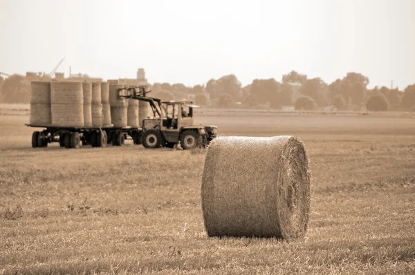 小麦球和拖拉机 — 图库照片