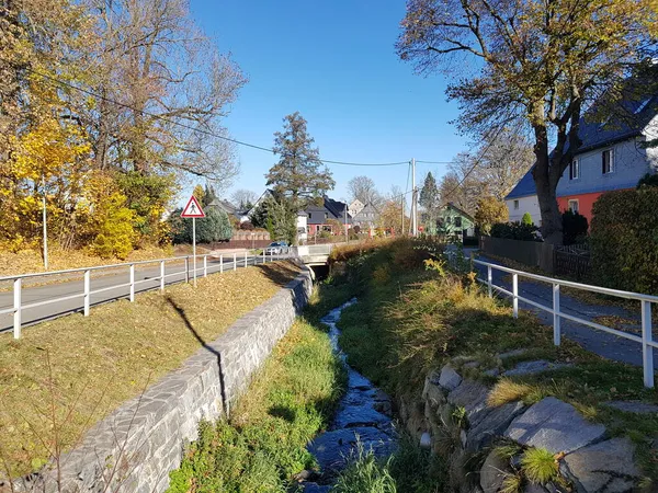 ZWOENITZ, SAXONY, GERMANY - 30 Ekim 2021 Corona 'ya Karşı Gösteri