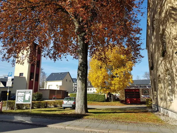 ZWOENITZ, SAXONY, GERMANY - 30 Ekim 2021 Corona 'ya Karşı Gösteri