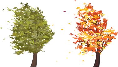 sonbahar ve yaz grunge rüzgarda ağaç. vektör