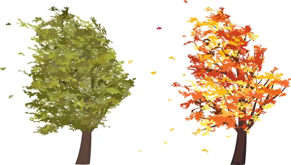 Autumn and summer grunge tree in the wind. Vector — Stock Vector