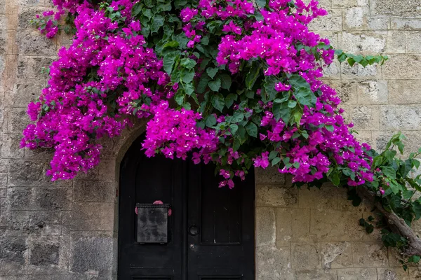 Bougainvillea arch, Rhodes Greece. Royalty Free Stock Images