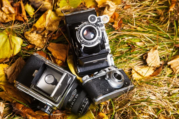Retro Fotokameror — Stockfoto
