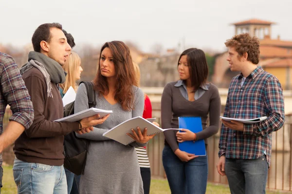 Gruppo di studenti universitari multiculturali — Foto Stock