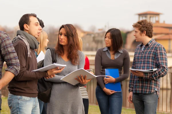 Grupo de estudiantes universitarios multiculturales — Foto de Stock