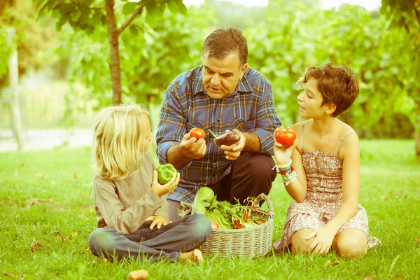 Adult Farmer with Children and Harvested Vegetables — Stock Photo, Image