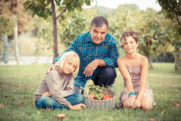Agricultor adulto con niños y verduras cosechadas —  Fotos de Stock