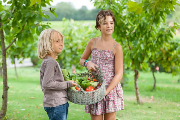 Chłopiec i dziewczynka gospodarstwa koszyka warzywa — Zdjęcie stockowe
