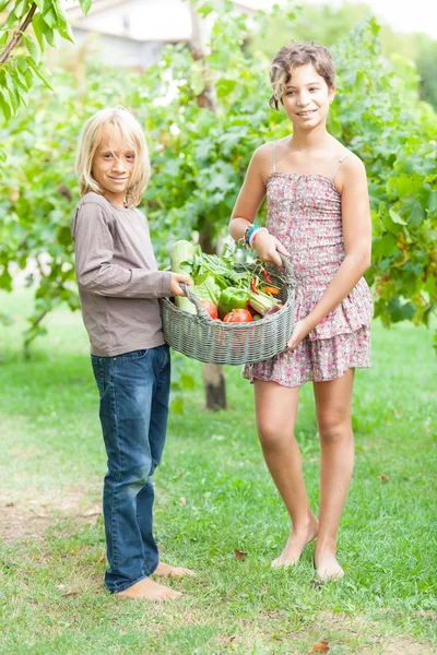 Junge und Mädchen halten Korb mit Gemüse — Stockfoto