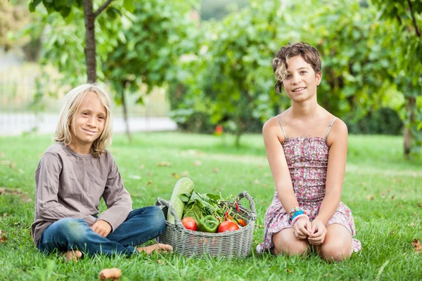 Boy and Girl Holding Basket of Vegetables Stock Picture