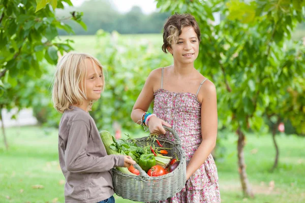 Boy and Girl Holding Basket of Vegetables Stock Photo