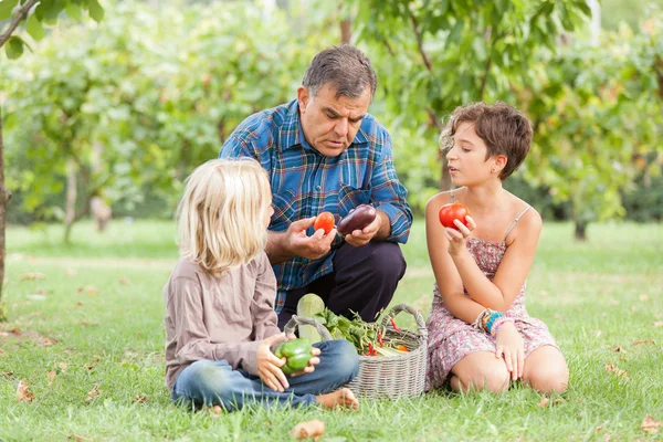 Agricultor adulto con niños y verduras cosechadas — Foto de Stock