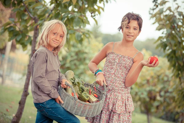 Chłopiec i dziewczynka gospodarstwa koszyka warzywa — Zdjęcie stockowe