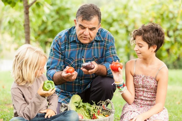 Agricultor adulto com crianças e vegetais colhidos — Fotografia de Stock