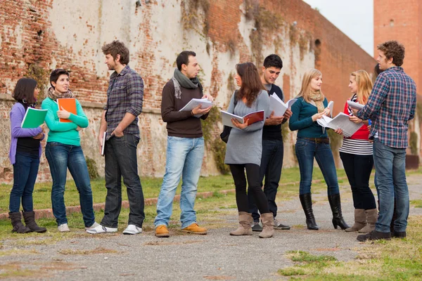 Grupo de estudiantes universitarios multiculturales — Foto de Stock