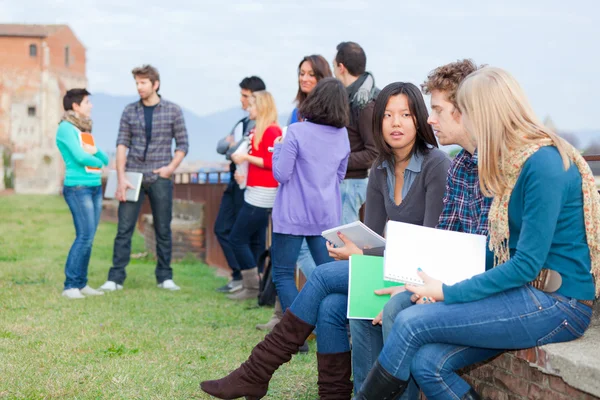 Studenti universitari multiculturali — Foto Stock