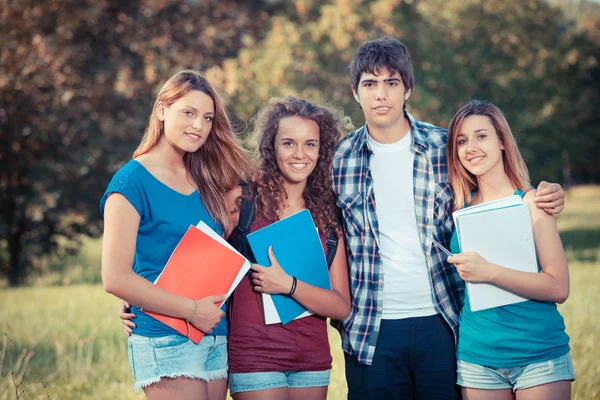 Gruppo di studenti adolescenti al parco — Foto Stock