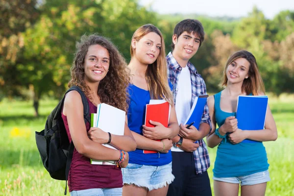 Group of Teenage Students at Park Stock Image