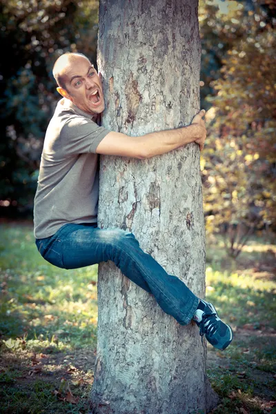 Bir ağaç için tutunmuş komik adam — Stok fotoğraf