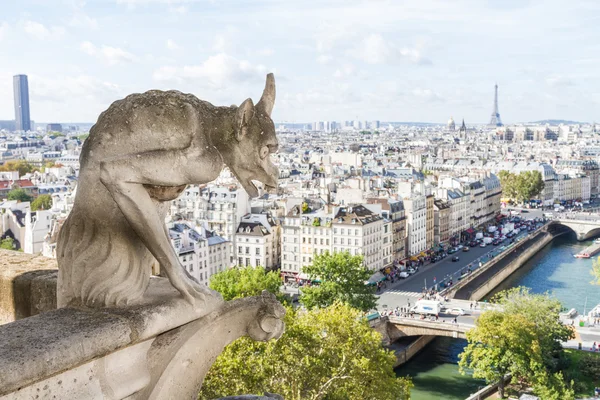 Paris notre dame yukarıdan gördüm — Stok fotoğraf