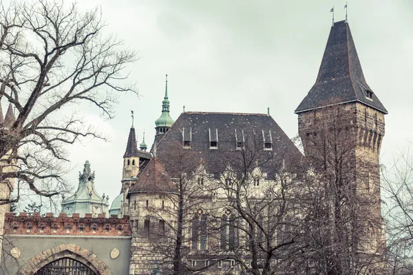 Castillo de Vajdahunyad en Budapest —  Fotos de Stock