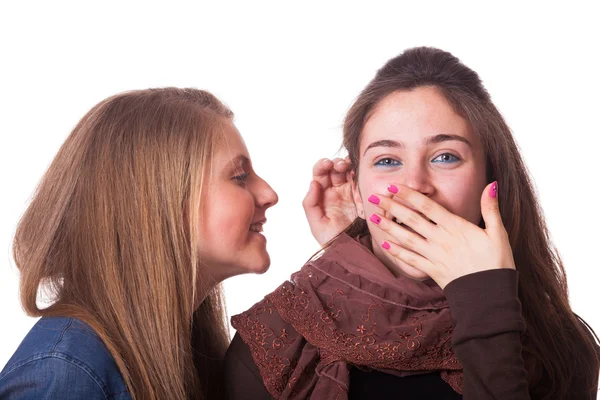 Meisjes fluisteren een geheim — Stockfoto