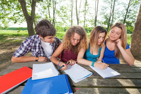 Groep tiener studenten bij park — Stockfoto