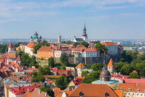 Таллиннский замок с колокольни — стоковое фото