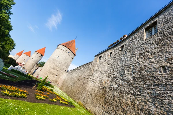 Old Wall in Tallinn — Stock Photo, Image