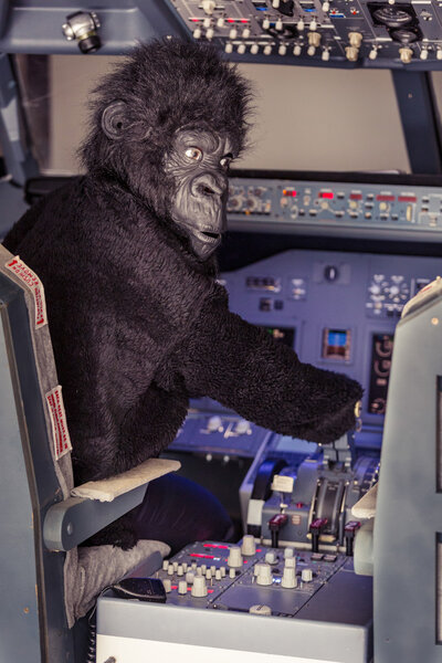 Gorilla Piloting an Airplane