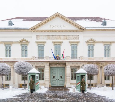 Budapeşte, Macaristan - 26 Mart: Budapeşte Cumhurbaşkanlığı pa muhafiz
