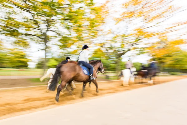 组的人骑马在海德公园 — 图库照片