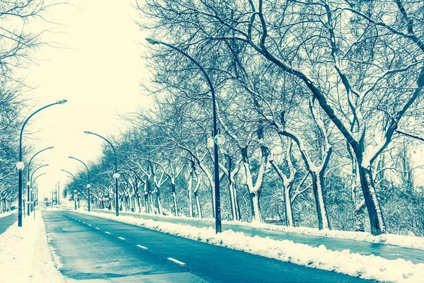 Leere Straße und Schnee in Margareteninsel, Budapest — Stockfoto