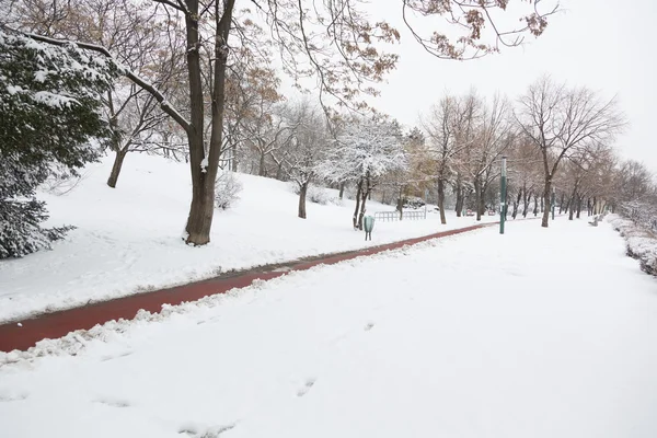 Strada vuota e neve a Margaret Island, Budapest — Foto Stock