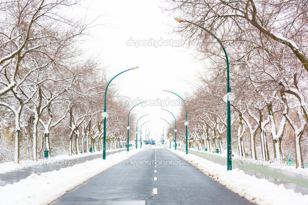Empy Road and Snow in Margaret Island, Budapest