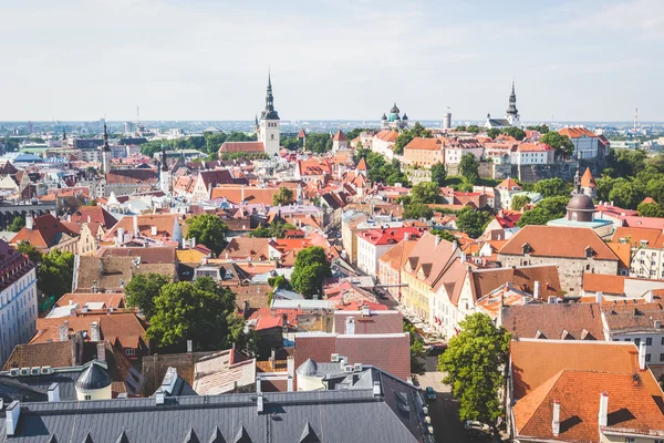 Tallinn panoramik görünüm — Stok fotoğraf
