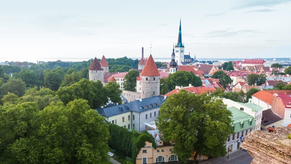 Tallinn panoramik görünüm — Stok fotoğraf