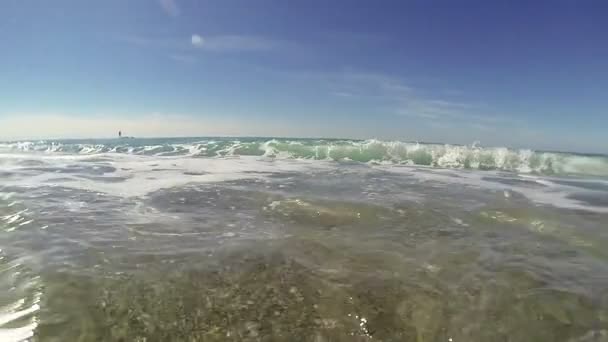 Olas en la orilla del mar — Vídeo de stock