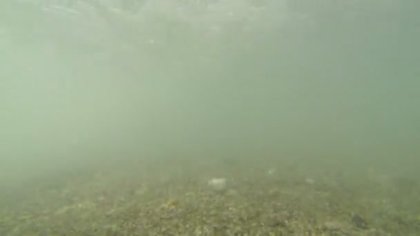 Ondas na costa do mar — Vídeo de Stock