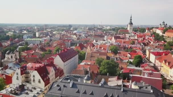 Tallinn panoramik görünüm — Stok video