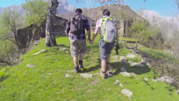 Νεαρό ζευγάρι περπάτημα στη φύση — Αρχείο Βίντεο