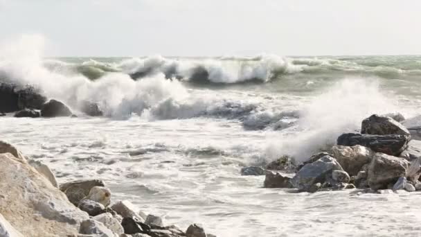 Grandes olas durante la tormenta — Vídeo de stock