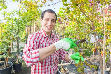 Bahçıvan iş başında