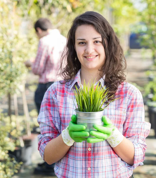 Jardineros en Nursery —  Fotos de Stock