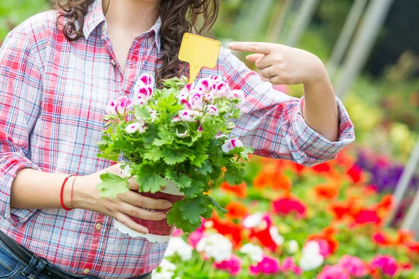 Gardener feminino no berçário mostrando preço — Fotografia de Stock