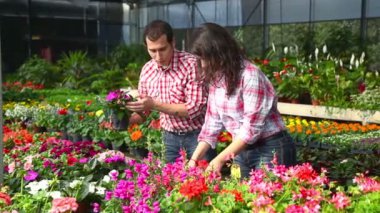 bahçıvanlar, kreş